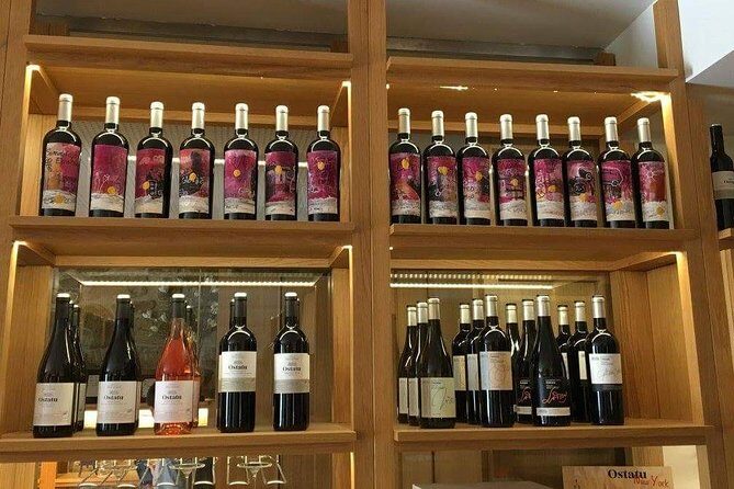 Rioja winery hopping tour from San Sebastian - Authentic Experiences and Insights from Reviewers