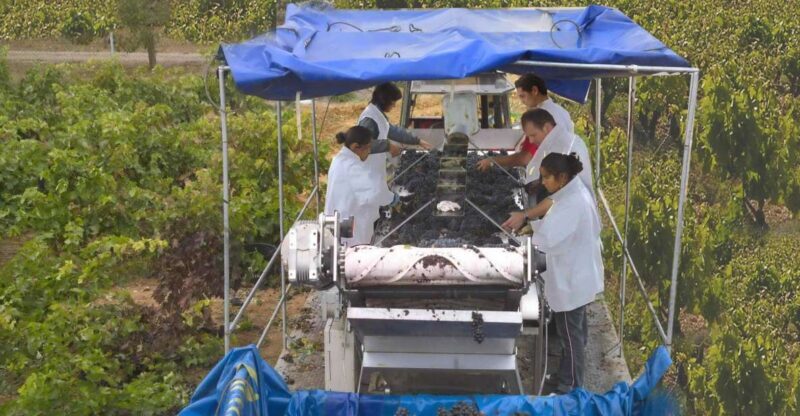 Rioja Winery & Traditional Lunch From Pamplona or Logroño - Final Words