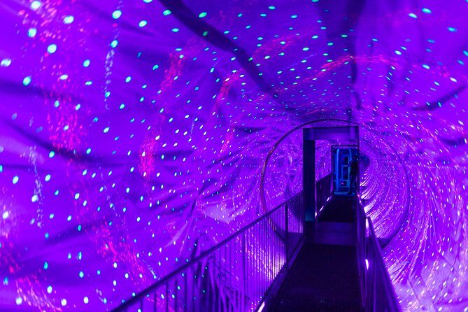 Ripley's Believe It or Not Amsterdam & 1-Hour Canal Cruise - The Practical Aspects