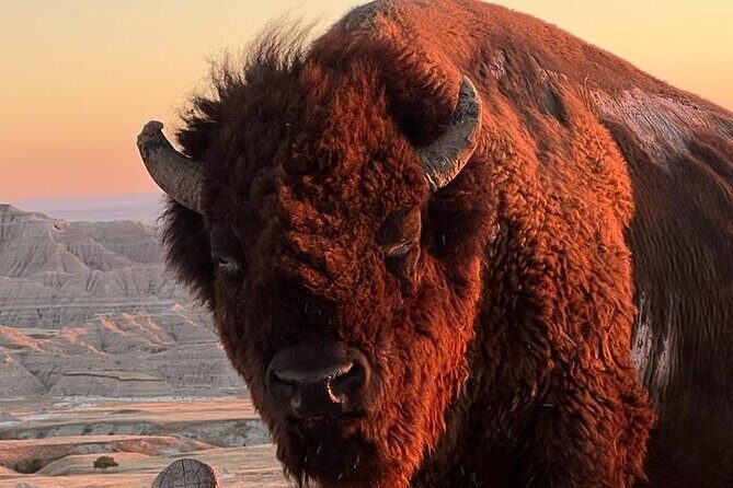 Rise Before the Roar: Badlands Sunrise Tour - Detailed Breakdown of the Itinerary