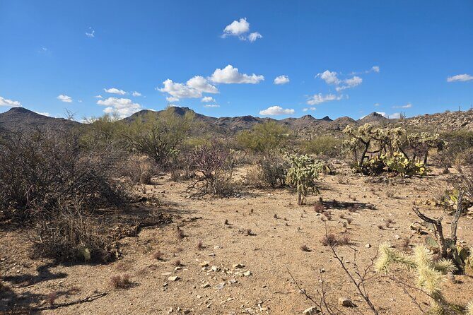 Ritz Dove Mountain and Totolita Hiking - Frequently Asked Questions