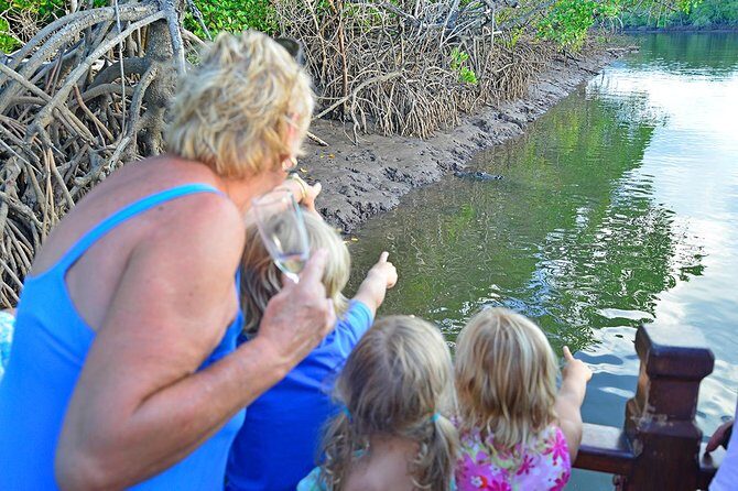River Cruise - An In-Depth Look at the Port Douglas River Cruise
