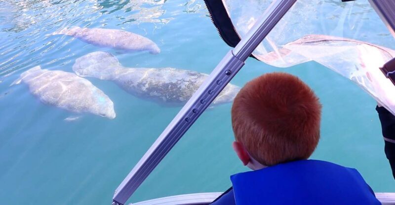 River Cruise with Manatee Viewing - Who Should Consider This Tour?