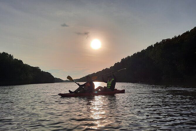 River Exploration and Mangrove Nature Tour by kayaking - Introduction: Exploring by Kayak in Kuala Lumpur’s Mangroves