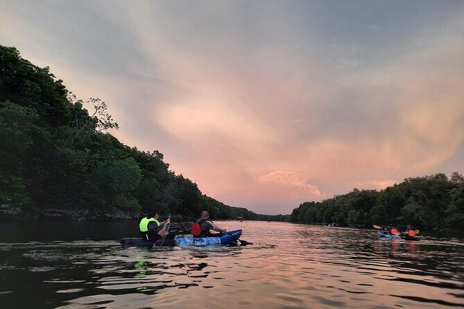 River Exploration and Mangrove Nature Tour by kayaking - FAQs