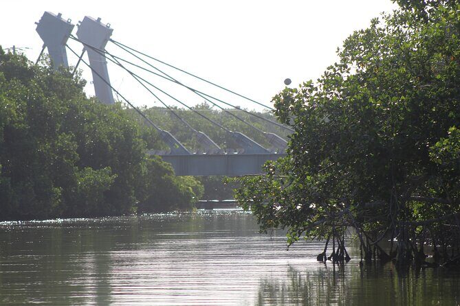 River Lizards Boat Tour for Flora and Fauna Observation - What to Expect and Tips for Your Visit