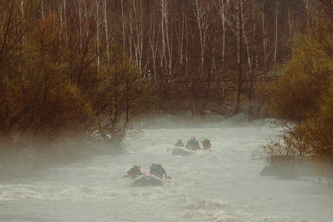 River Rafting Trip from Brasov - What Is This River Rafting Experience Really Like?
