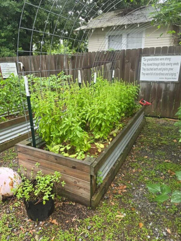 River Road African American Museum Entry Ticket - The Balance of Experience and Practicalities