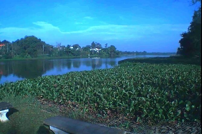 River Safari from Bolgoda Lake - What to Expect from the Bolgoda Lake River Safari
