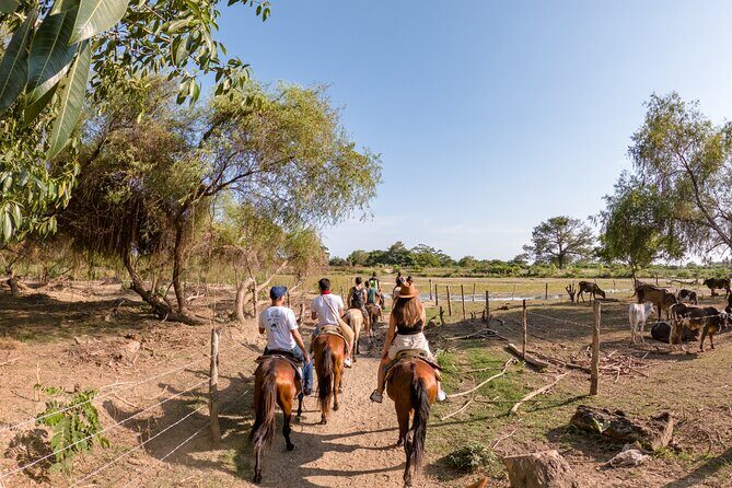 River Trail Horseback Riding Adventure - Key Points