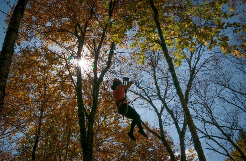 River Ziplines - Nature Tours - Key Points