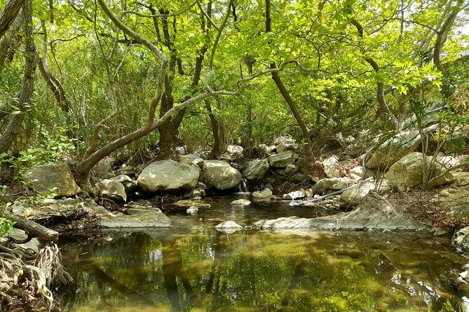 Riverbank Adventure in Naxos (Kinidaros - Eggares) - Key Points