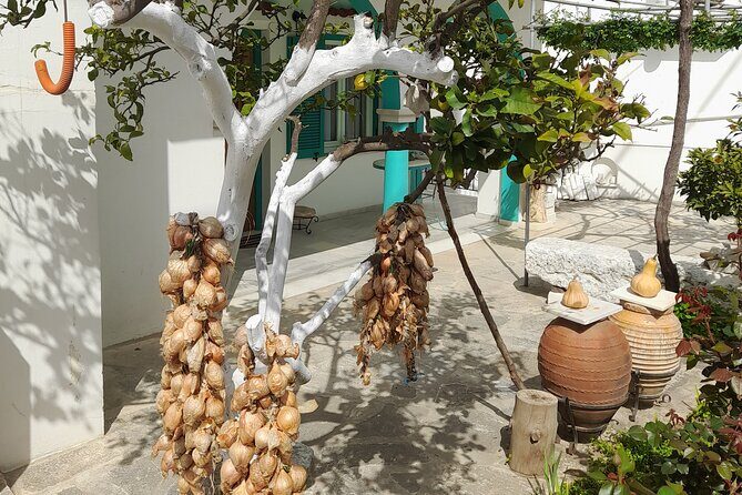 Riverbank Adventure in Naxos (Kinidaros - Eggares) - The Itinerary: From Village Charm to River Wilderness