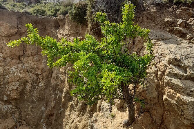 Riverbank Adventure in Naxos (Kinidaros - Eggares) - FAQ
