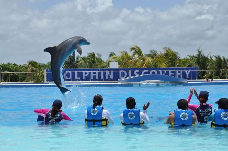 Riviera Maya: Dolphin Encounter with Beach Club Access - Key Points
