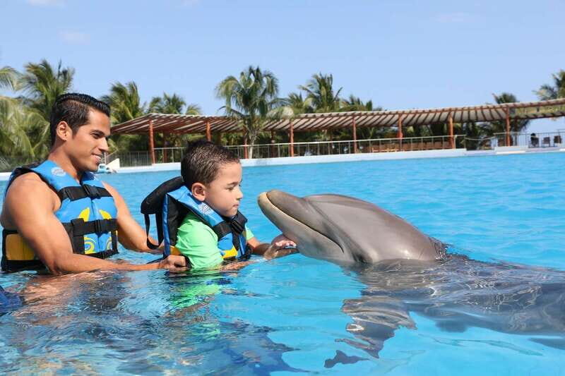 Riviera Maya: Dolphin Encounter with Beach Club Access - The Experience in Detail