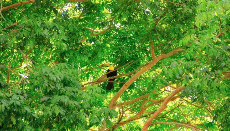 Riviera Maya: Horseback Riding at Rancho Bonanza - Practical Tips and Considerations