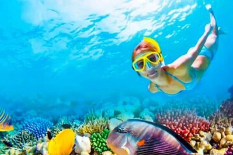 Riviera Maya: Isla Contoy and Isla Mujeres Full-Day Tour - The Verdict: Is It Worth It?