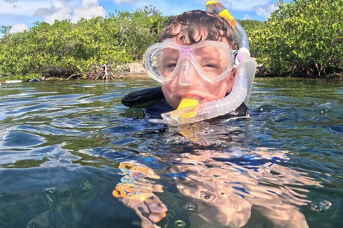 Riviera Maya Private Snorkeling Tour Adventure - Who Will Love This Tour?