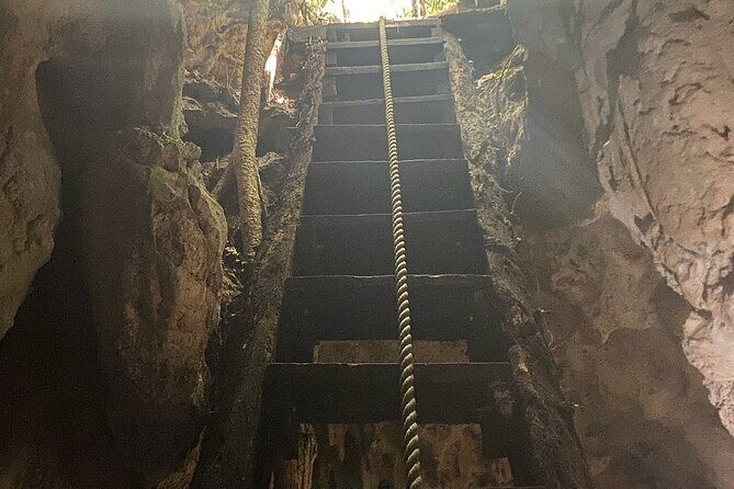 Riviera Maya Private Snorkeling Tour Adventure - Final Thoughts: Is It Worth It?