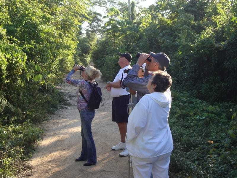 Riviera Maya: Puerto Morelos 4-Hour Bird Watching Tour - In The Sum Up: Who Should Consider This Tour?