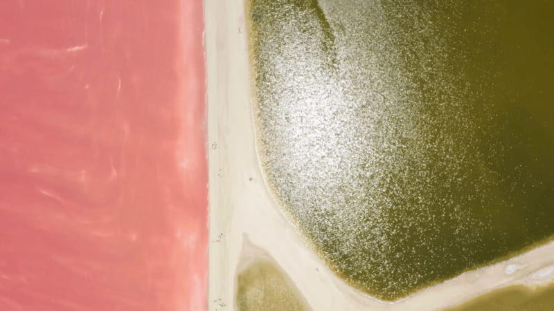 Riviera Maya: Rio Lagartos & Las Coloradas Day Trip w/Lunch - An In-Depth Look at the Rio Lagartos & Las Coloradas Tour