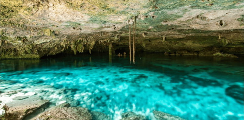 Riviera Maya: Snorkel Cenotes - An In-Depth Look at the Riviera Maya Snorkel Cenotes Tour