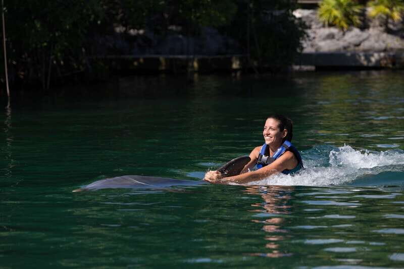 Riviera Maya: Swim with dolphins Interax - An Honest Look at the Dolphin Swim Experience