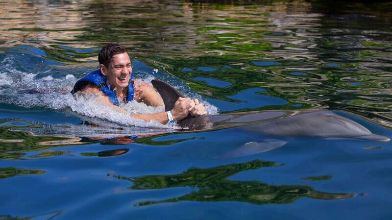 Riviera Maya: Swim with dolphins Interax - Final Thoughts