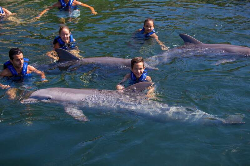 Riviera Maya: Swim with dolphins Primax - Frequently Asked Questions