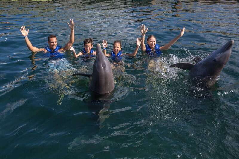 Riviera Maya: Swimming Experience with Dolphins - Final Thoughts