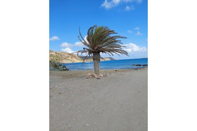 RIVIERA - Vai Palm Beach, Toplou Monastery - The Itinerary: A Deep Dive into Cretes East