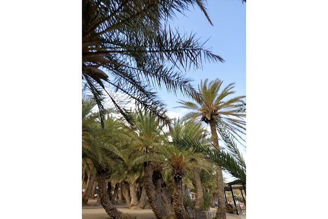 RIVIERA - Vai Palm Beach, Toplou Monastery - Frequently Asked Questions
