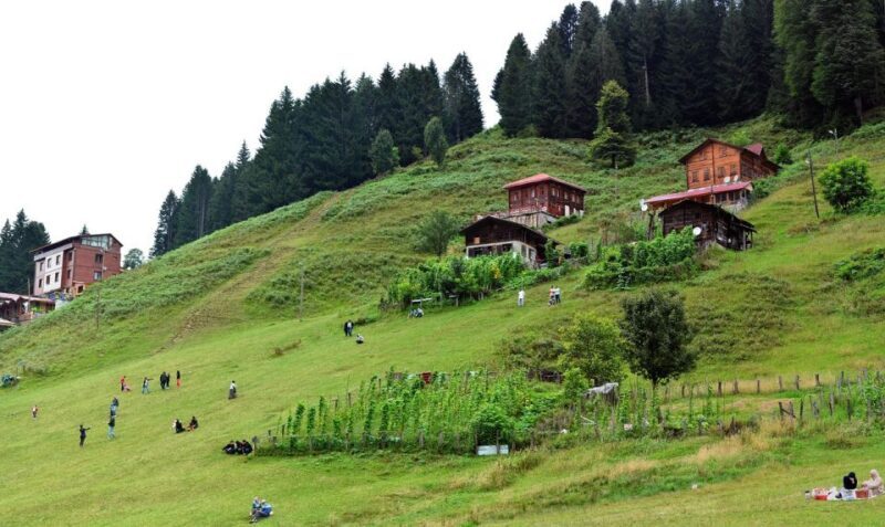Rize: Ayder Tour & Kaçkar Mountans & Frtna Valley - Who Is This Tour Best For?