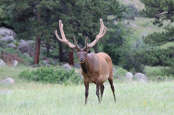 RMNP: Bear Lake Corridor Tour - Who Will Appreciate This Tour?