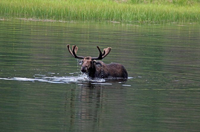 RMNP: Bear Lake Corridor Tour - The Sum Up