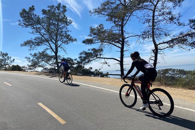 Road Bike Ride - designed for serious cyclists - Exploring the La Jolla Coast on Two Wheels: A Detailed Review of the Road Bike Ride