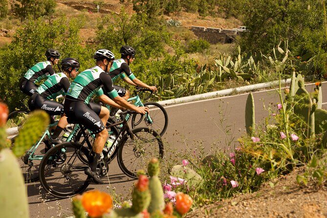 Road Cycling Tenerife - Vilaflor Route - The Real Value of the Tour