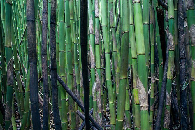 Road to Hana Halfway and Haleakala National Park - Who Should Consider This Tour?