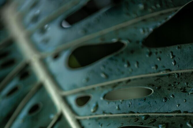 Road to Hana Halfway and Haleakala National Park - FAQ