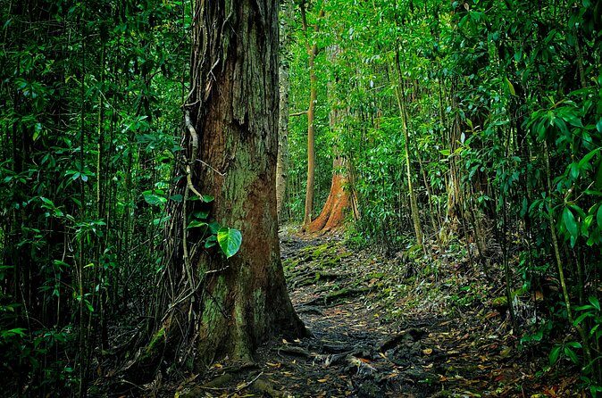 Road to Hana Halfway Tour - Frequently Asked Questions (FAQs)