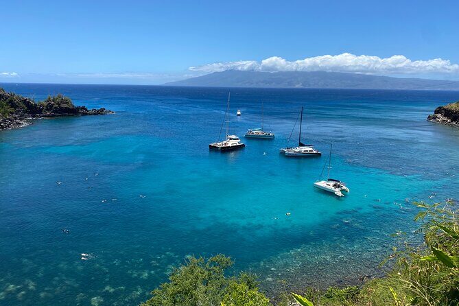 Road to Hana Maui Tours - Authentic Feedback: What Do Travelers Say?