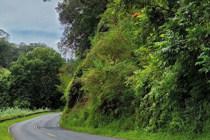 Road to Hana Private Full Day Tour - The Itinerary: A Day Packed with Natural Wonders and Cultural Highlights