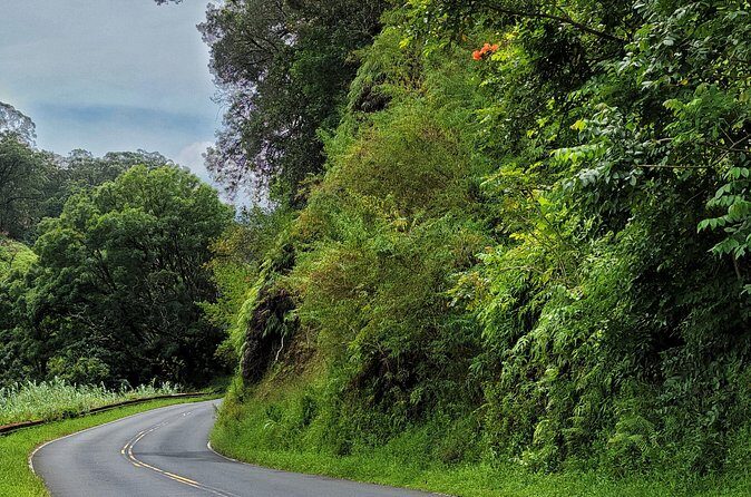 Road to Hana Private Full Day Tour - The Experience: What’s In It for You?