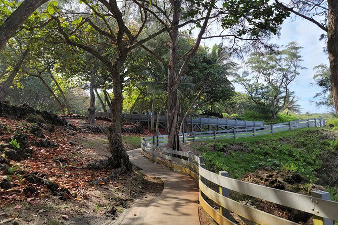 Road to Hana Private Full Day Tour - What’s The Cost and Is It Worth It?