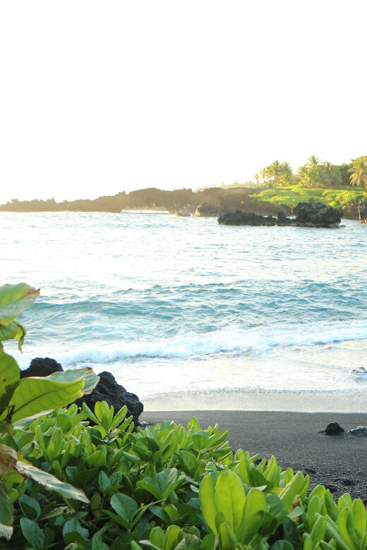 Road to Hana: Professional Guide, Food, Swimming, Waterfalls - Who Is This Tour Best For?