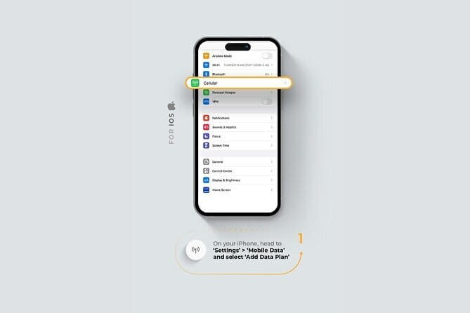 Roaming Internet with eSIM Mobile Data Plan in Indonesia - Who Should Consider This eSIM Plan?