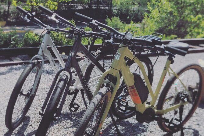 Roanoke River Greenway E-bike Rental - The Scenic Roanoke River Greenway