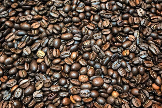 Roasting Experience at 14th Coffee Co - Practical Tips for Visitors