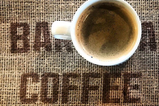 Roasting Experience at 14th Coffee Co - The Sum Up: A Cozy, Insightful Coffee Journey